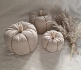 Linen pumpkin in oatmeal