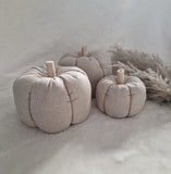 Linen pumpkin in oatmeal